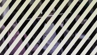 I Will Love You Till The Day We Die