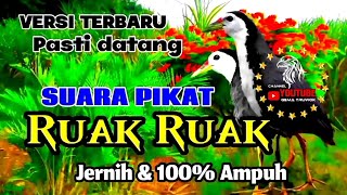 SUARA BURUNG RUAK RUAK ][ TERBARU 2024 ]] JERNIH DAN AMPUH//BIRDTRAP