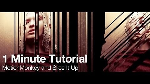 1 Min Tut: MotionMonkey and Slice It Up