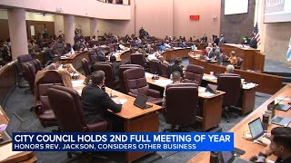Chicago City Council fails to override Mayor Johnson's veto of ban on hemp product sales