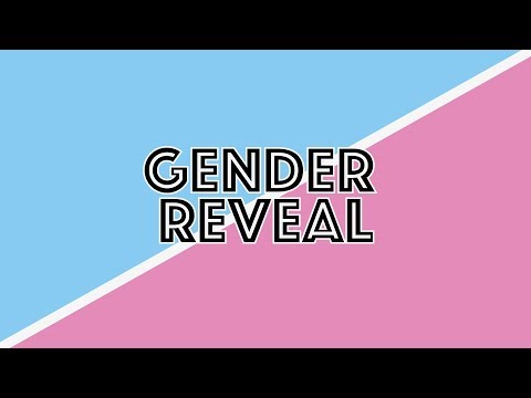 Gender Reveal - Boy or Girl?