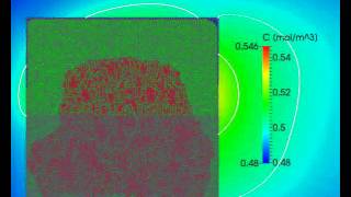 Drying of Irregular Dual Porosity Pore Network 100