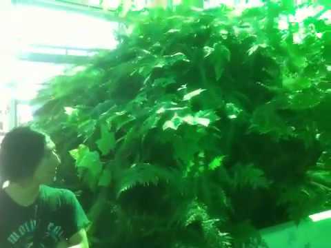 Neukom Vivarium Neukom Vivarium