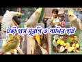 tongi Pakhi o kobutorer hat | টঙ্গী বাজার পাখি ও কবিতরের হাট | 04-01-2026 pakhir hat | pakhi pagla 