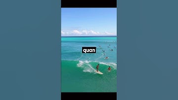 Những sự thật thú vị về môi trường có thể bạn chưa biết? #entertainment #environment