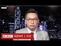 楊岳橋：雙普選是北京對香港的承諾－ BBC News 中文 ｜逃犯條例｜一國兩制｜