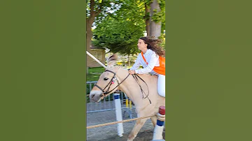 ?? Ringrijden Grijpskerke ????  Nederland @TravelwithHugoF  #ringrijden #horses #grijpskerke