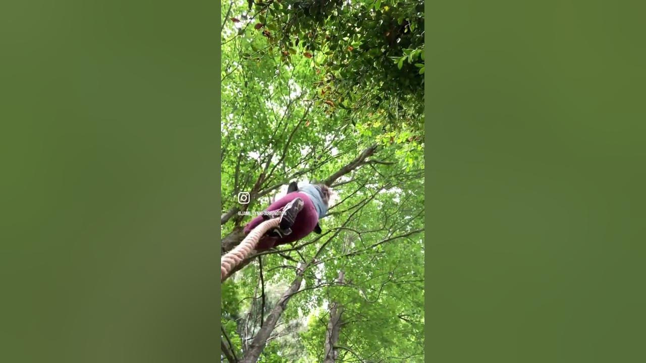 Rope Climb Retired Gymnast Haven t Attempted In Almost 15 Years Did I rope-climb-retired-gymnast-haven-t-attempted-in-almost-15-years-did-i