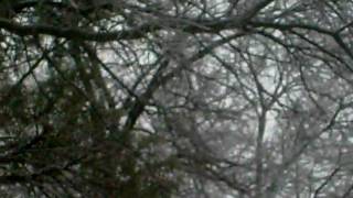 Winter Storm Jan 2010 014.avi