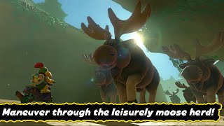 Mario Kart World - P-Switch Mission - Maneuver Through The Leisurely Moose Herd