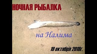 Рыбалка в Сибири #55. Ловим налима на острогу на Оби. Октябрь 2018.