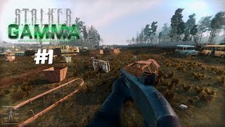 S.T.A.L.K.E.R Anomaly GAMMA — прохождение #1