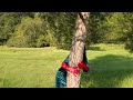 Bloomhaus - Dreams (Official Video)