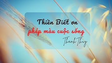 THIỀN BIẾT ƠN - PHÉP MÀU CỦA CUỘC SỐNG | LƯU THANH THÙY