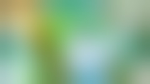 Simple lightroom mobile tutorial | ps touch photo editing | Android mobile | cb edits | 2018