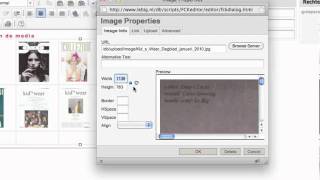 Allegro CMS - How to link a PDF to a picture (like a button) on a textpage