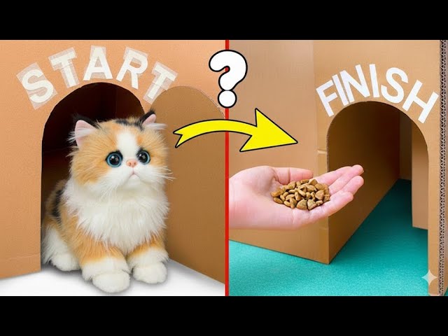 🐱にゃんこ天国DIY！💛 ミニねこカフェ＆かわいいおうち作り ☕