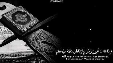 حالات واتس اب - القران الكريم - القارئ محمد النقيب