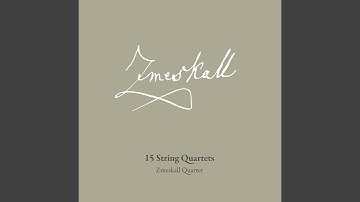 Quartet No. 1 in G Major: I. Andante un Allegro moderato