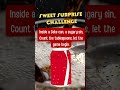 Sweet Surprise Challenge #TheGraphicFoodGirl #foodiedelights