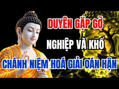 Nghiệp Duyên Khiến Ta Gặp Nhau – Chánh Niệm Để Lòng Thôi Oán – Buông Rồi Tâm Sẽ An