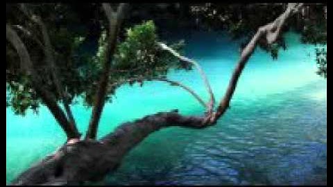 سورة المائده كامله - خالد جليل