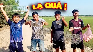 Team Gặp Rắn DỮ Và Mồi Bén Khi Đi Đặt Bẫy Chuột Ngoài Đồng | Anh Bảy Đúng TV