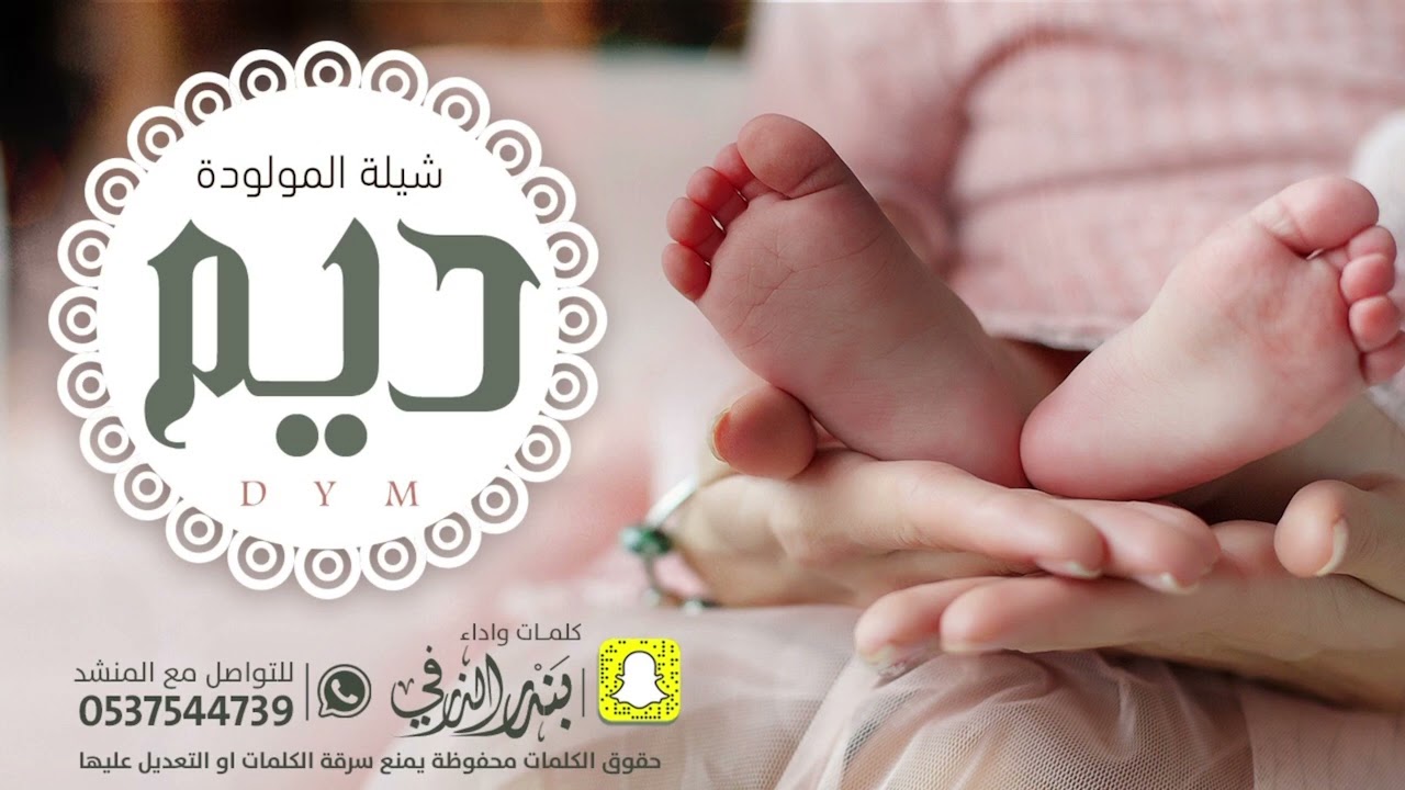 شيلة المولودة ديم | كلمات واداء بندر الذرفي