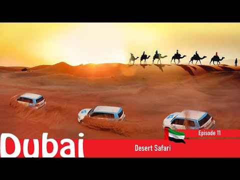 Dubai | EP-11 | Desert Safari | BHS | Travel Vlog