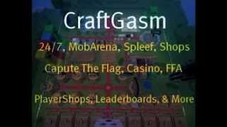 Craftgasm server