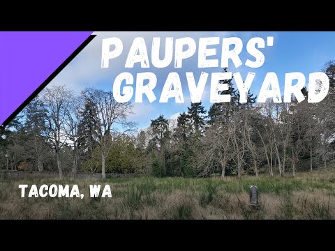 Video: Waar om te bly in Tacoma, WA
