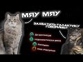 Я устроил Крестовый поход Котиков в Stellaris
