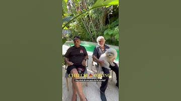 Thumbnail of What Cheech and Chong Do For A Living 🍁