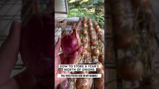 Full Video Posted How To Prep, Harvest, Cure, And Store Onions Long Term