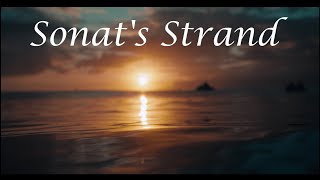Sonats Strand - Areentee Official Music Video