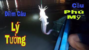 Điểm Câu Đêm Lý Tưởng : Cá Ngát , Cá Úc ( Vàng , Trắng ) , Cá Phèn ,...Cùng Bạn Học Cũ .
