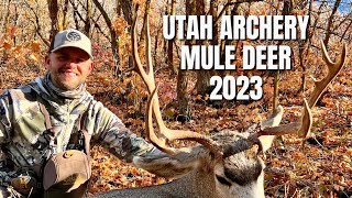 UTAH ARCHERY MULE DEER HUNT | PUBLIC LAND | DIY | HARD WORK PAYS OFF