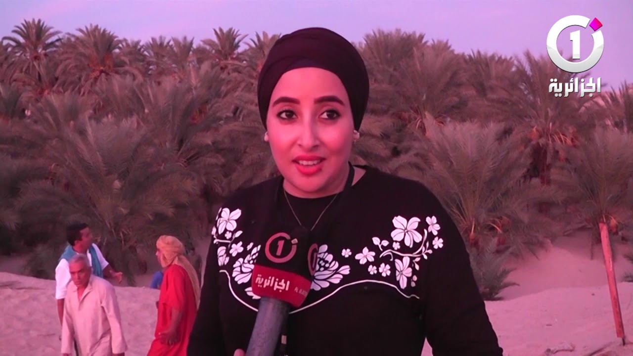 في سابقة من نوعها.. أجود التمور تجنى من نخيل لم تسق منذ قرن بساندروس بواد سوف