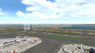 X plane graphic problem