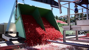 FBR-ELPO Company Profile