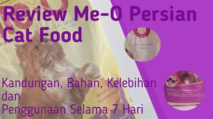 Video 276041: persian cat food review, kucing persian