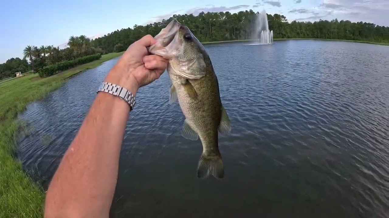 Daytona Beach Bass Fishing 08/11/24