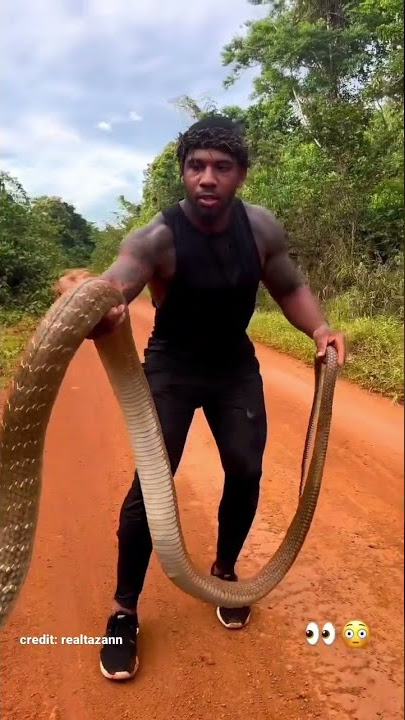 #Cobra😳Usilogwe kumjaribu hivi! #cobra #nyoka #koboko #trends #shorts #viral #snakes