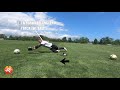 Low Dives from Knees - Reaction Time and Low Diving Technique