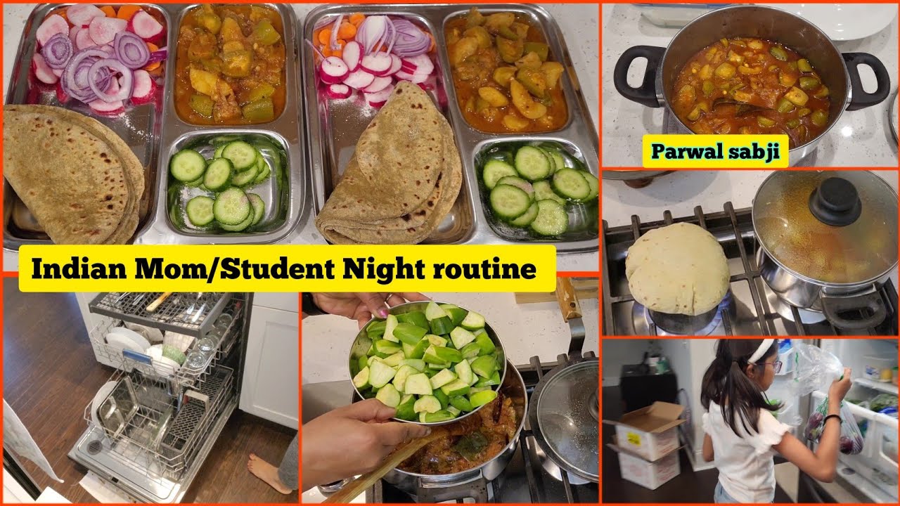 Vlog 50:Indian Mom/Student Night Routine | Huge Grocery Haul, Cooking ...