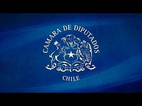 Cámara de Diputados de Chile Transmisión en directo de Online 13