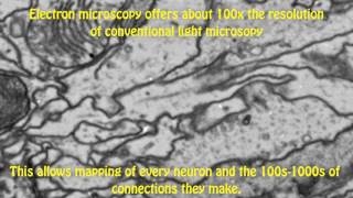 Mapping a fly brain: why and how