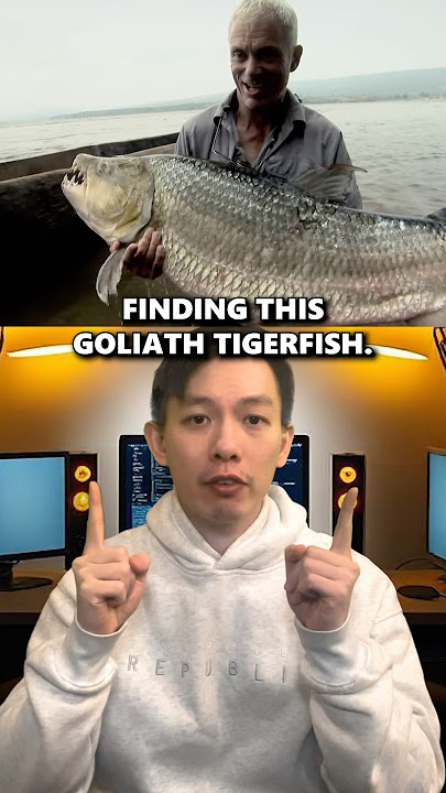 Guy Catches Epic River Monsters #shorts #fishing
