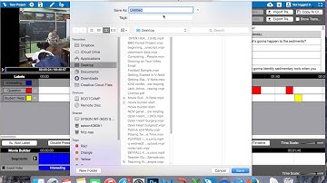 Exporting Raw Data from V Note