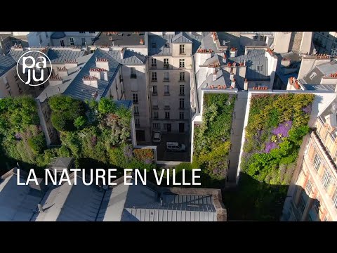 Vidéo: Murs Verts Derrière Une Façade Blanche